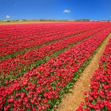 In A Unique Location Within Walking Distance Of The Wadden Sea アパート *
