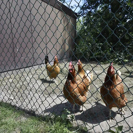 דירה In For 2 Guest *