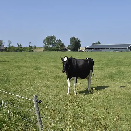 公寓 In For 2 Guest 希波利蒂斯胡夫