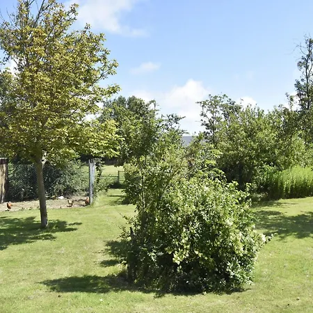 In For 2 Guest * 希波利蒂斯胡夫